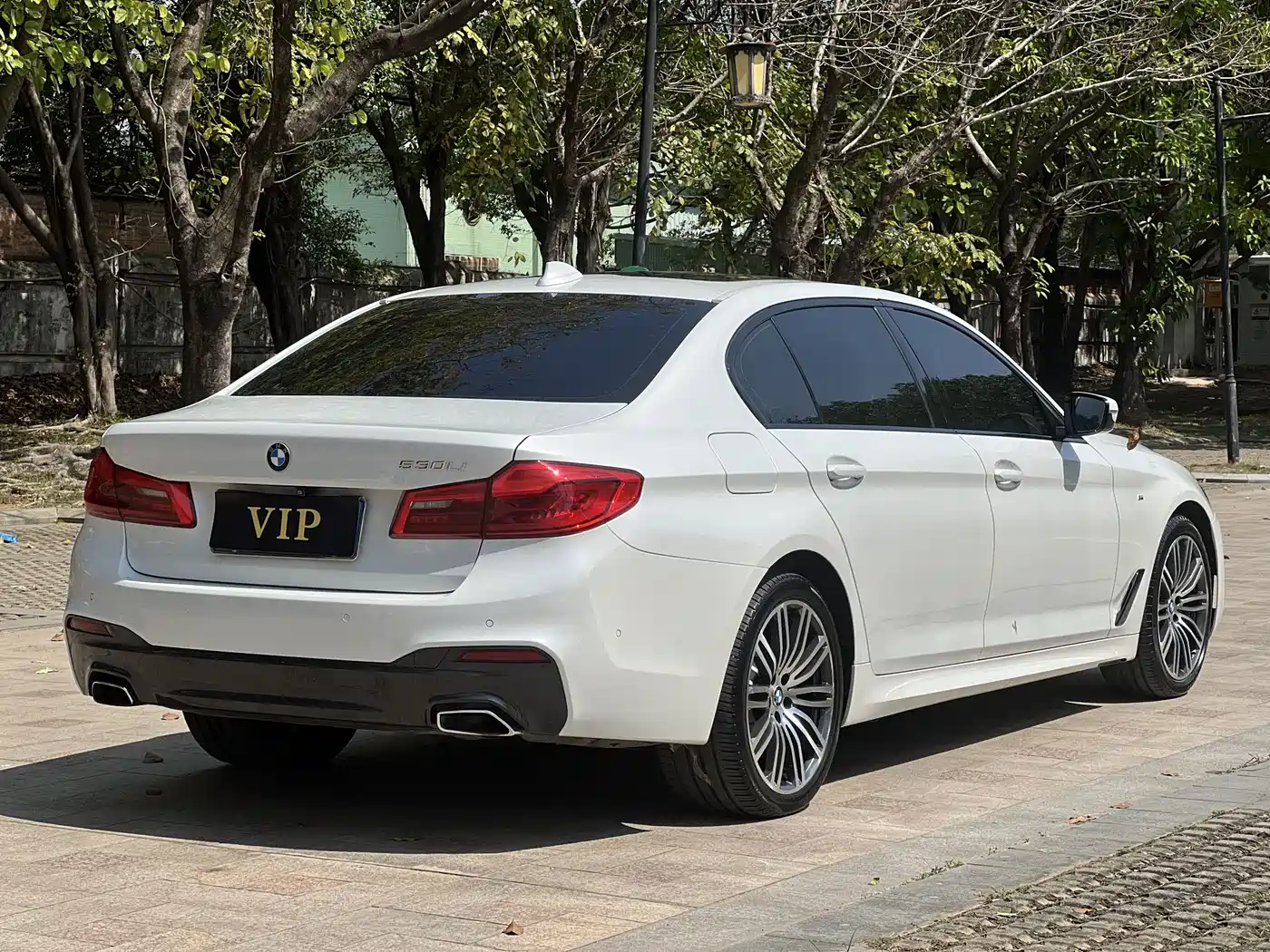 BMW 5 Series 2019 530Li Leading M Sport Package фото 19
