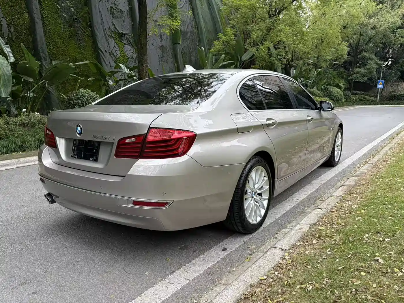 BMW 5 Series 2014 525Li Luxury Design Package фото 11