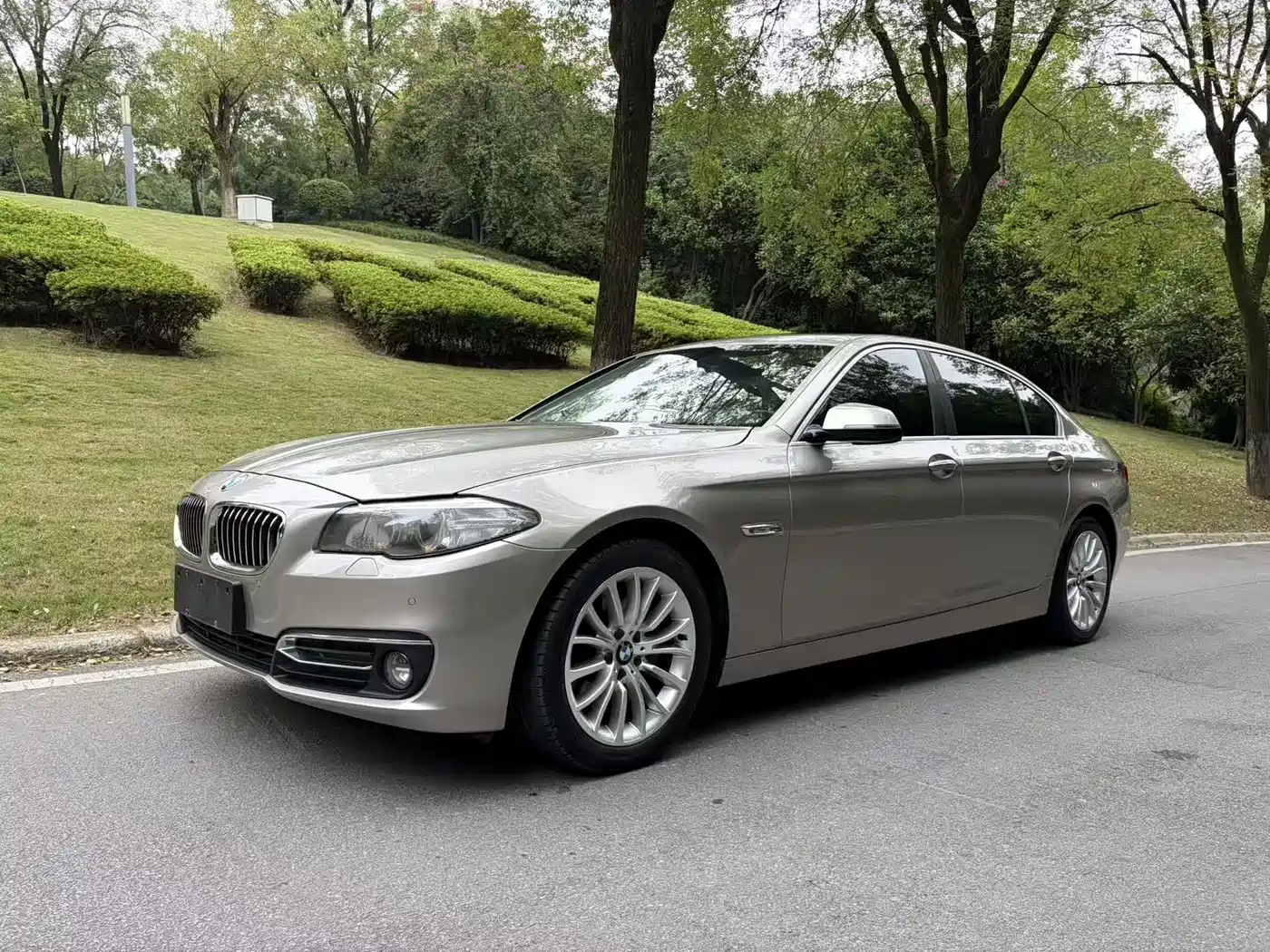 BMW 5 Series 2014 525Li Luxury Design Package