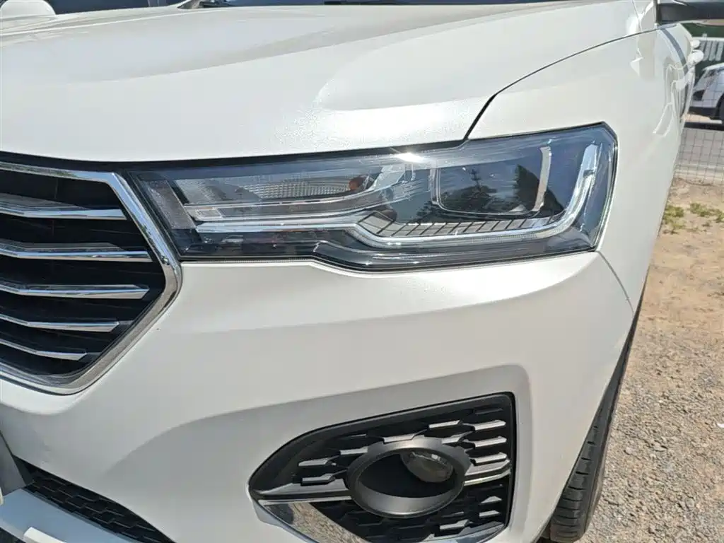 Haval H4 2019 1.5GDIT DCT Luxury Smart Connect Edition China V фото 24
