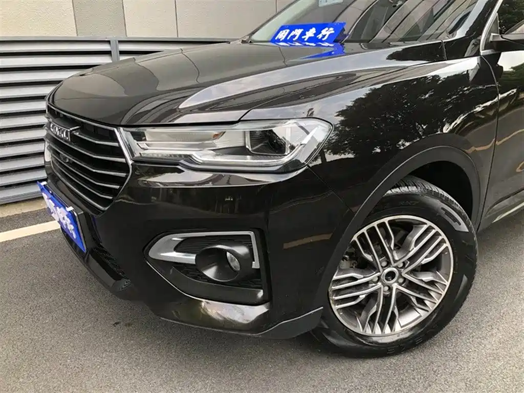 Haval H6 2019 1.5GDIT Automatic Champion Edition China V фото 3