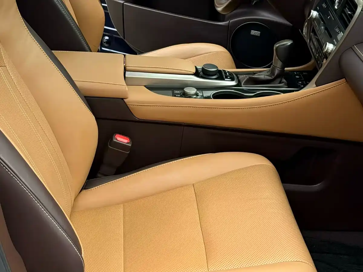 Lexus RX 2016 300 4WD Elegance Edition (China V) фото 5