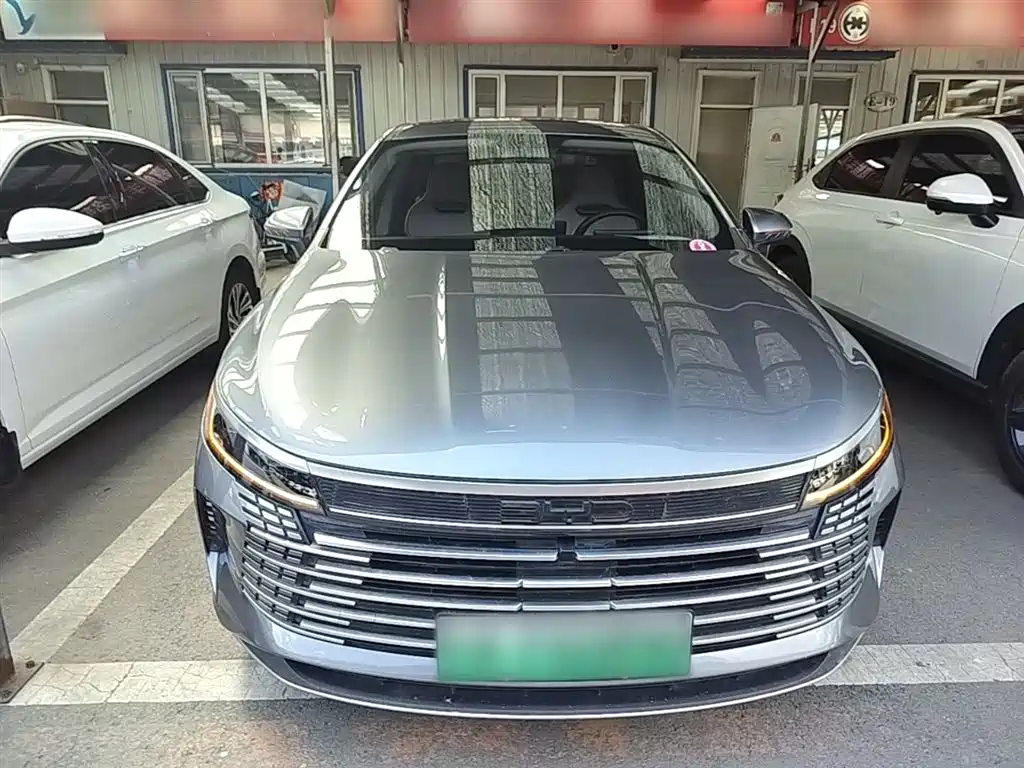 BYD Destroyer 05 2024 Glory Edition DM-i 55KM Luxury фото 3
