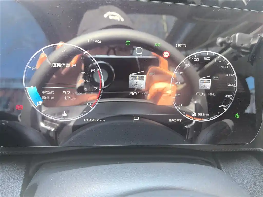 Haval Big Dog 2024 1.5T DCT Border Collie Edition фото 12