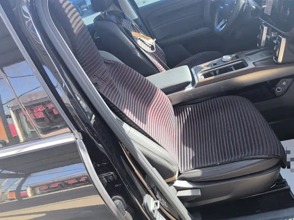 Haval Big Dog 2024 1.5T DCT Border Collie Edition фото 25