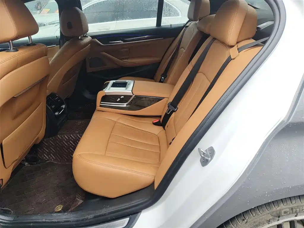 BMW 5 Series 2020 530Li Exclusive M Sport Package фото 17