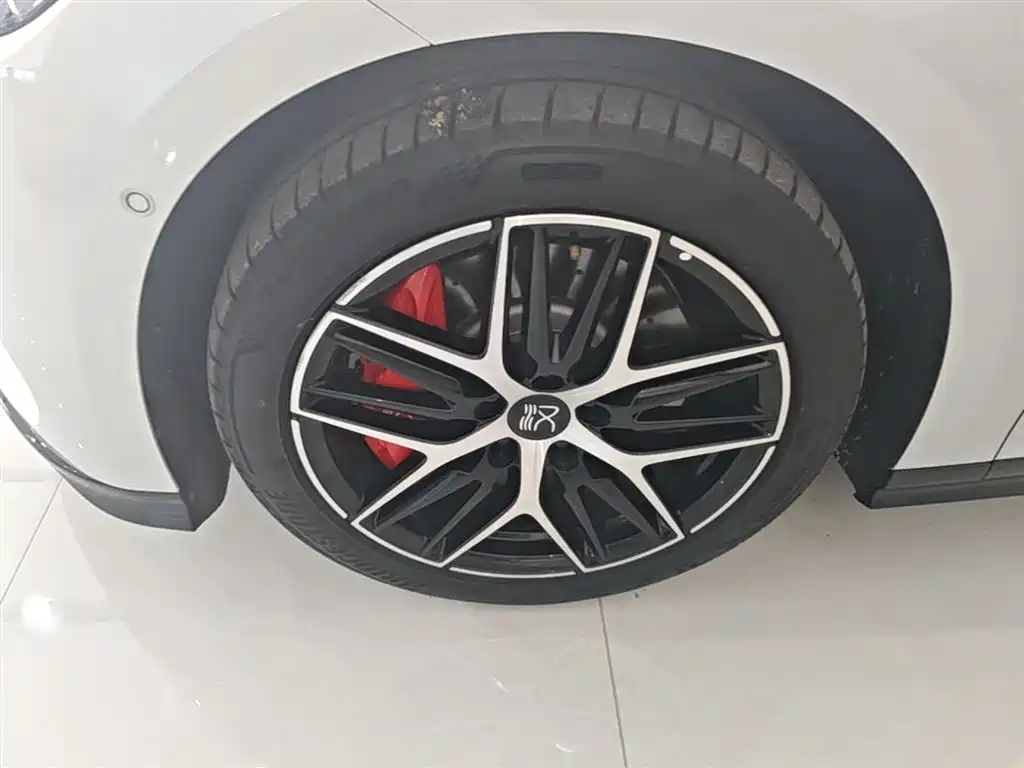 BYD Han L 2025 EV AWD LiDAR Flagship фото 23