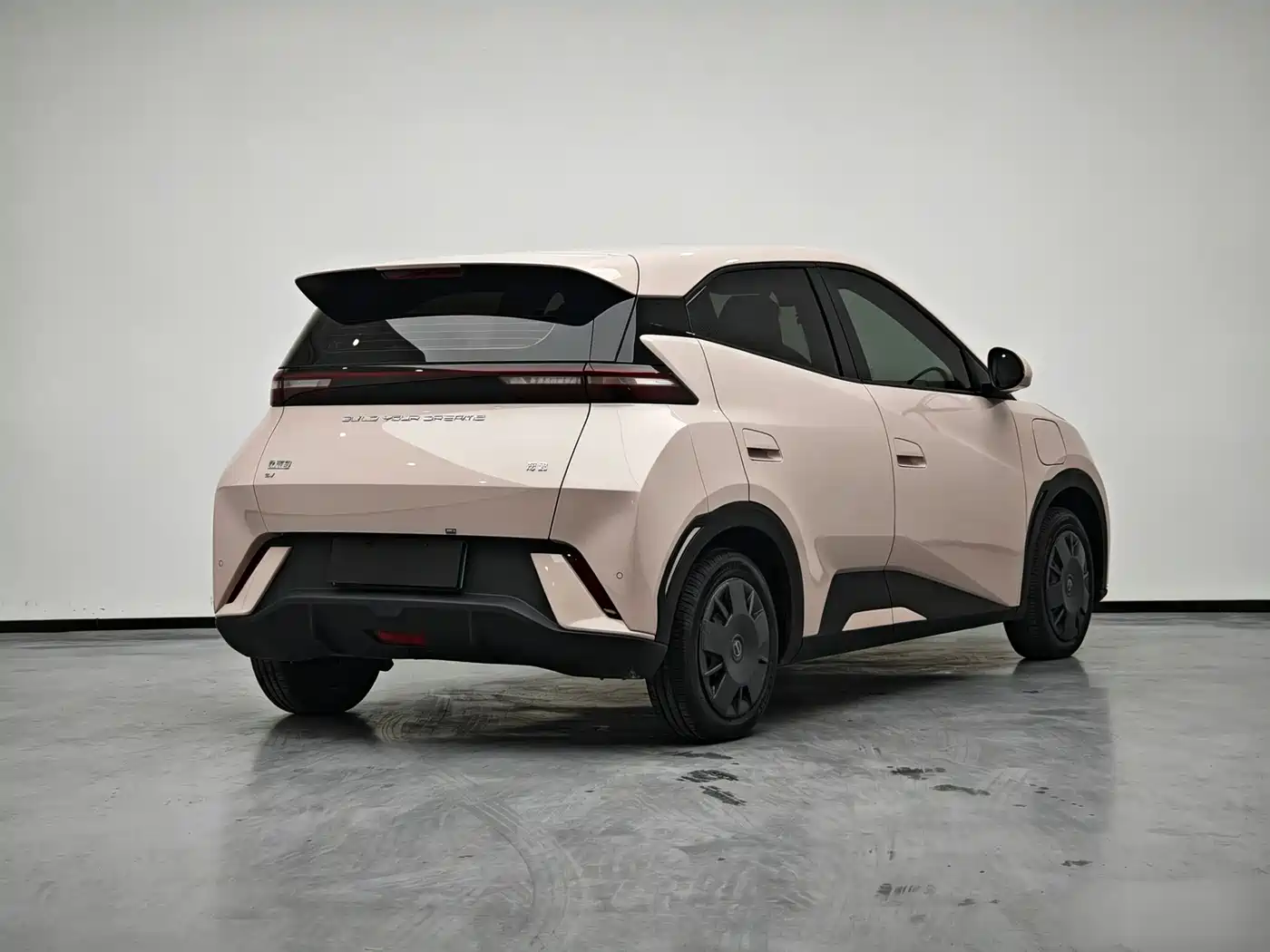BYD Seagull 2024 Glory Edition 305km Vitality Edition фото 4