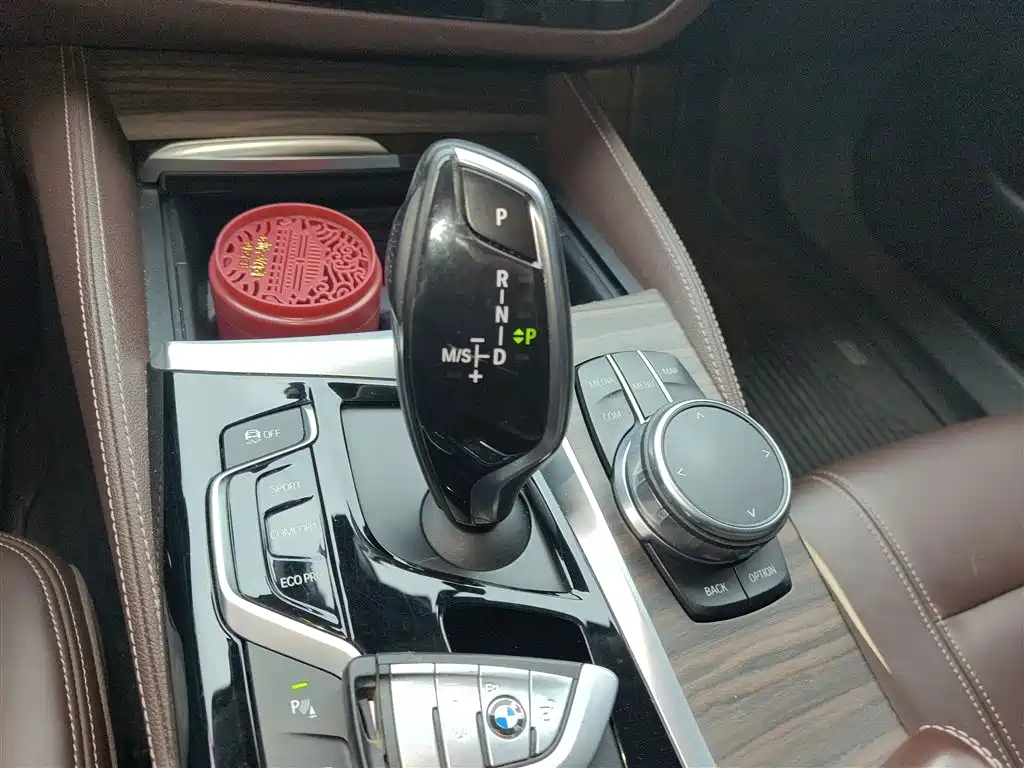 BMW 5 Series 2018 Facelift 530Li Leading Luxury Package фото 10