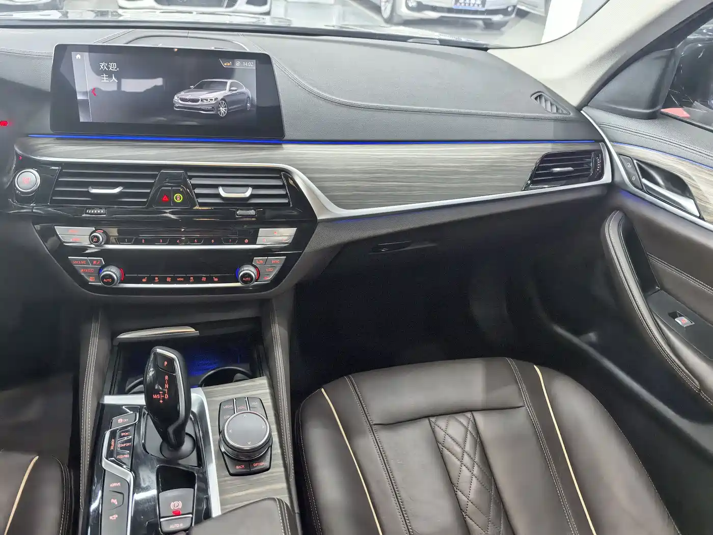 BMW 5 Series New Energy 2019 530Le Luxury Package фото 15