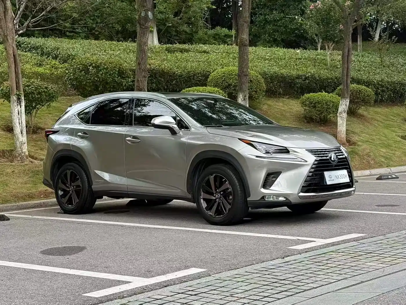 Photo 1 - Lexus NX