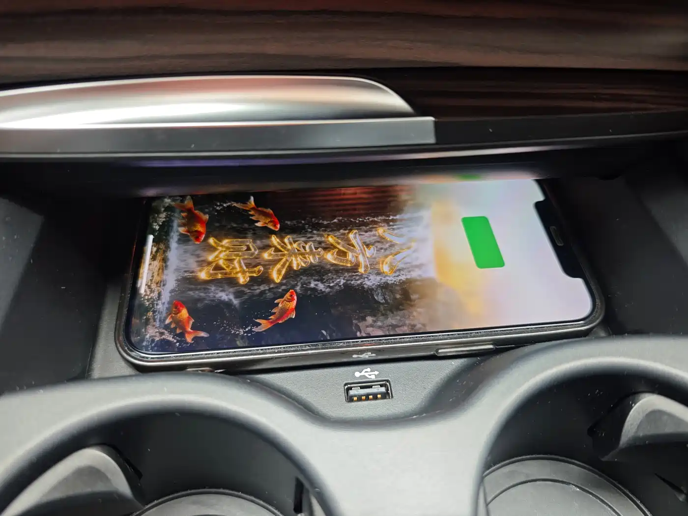 BMW 5 Series 2018 Facelift 530Li Leading Luxury Package фото 16