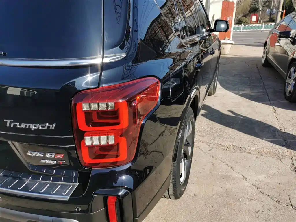 GAC Trumpchi Trumpchi GS8 2020 GS8S 390T 2WD Luxury Smart Connect Edition фото 24