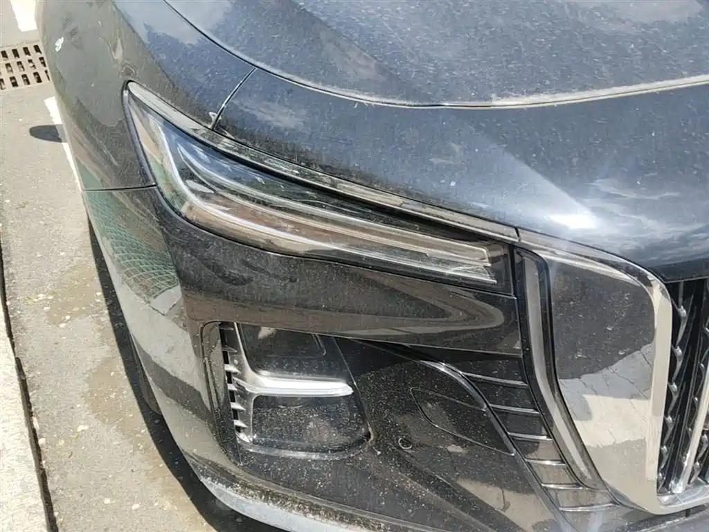 Hongqi H5 2023 2.0T Auto Smart Connect Flag Enjoy фото 13