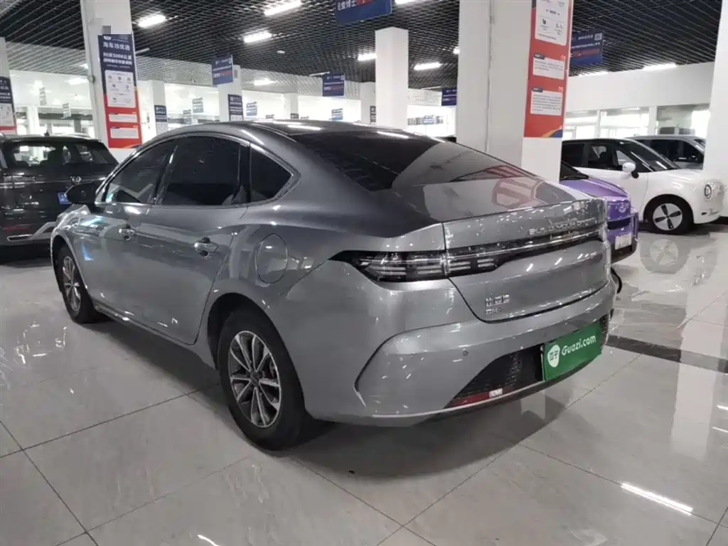 BYD Destroyer 05 2024 Glory Edition DM-i 55KM Luxury фото 5