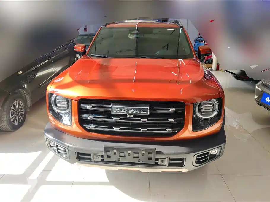 HAVAL BIG DOG