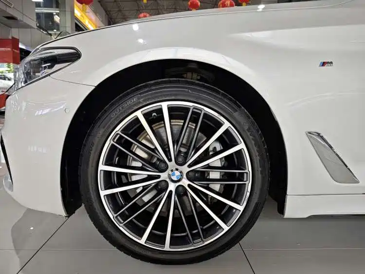BMW 5 Series 2020 530Li Exclusive M Sport Package фото 20