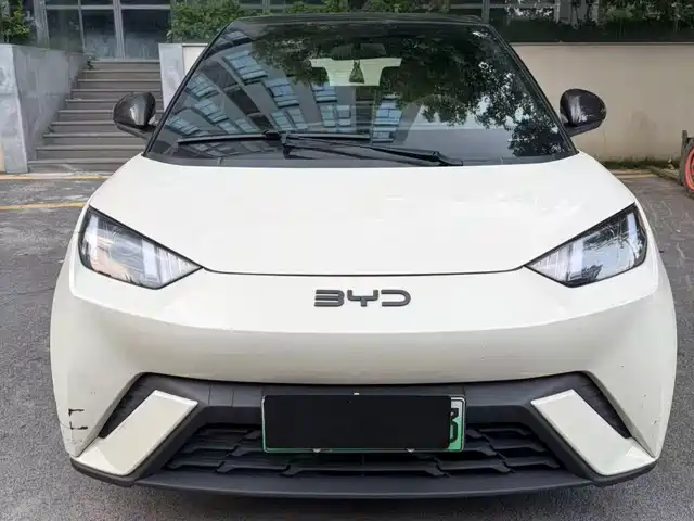  BYD Seagull 2024 Glory Edition 305km Vitality Edition
