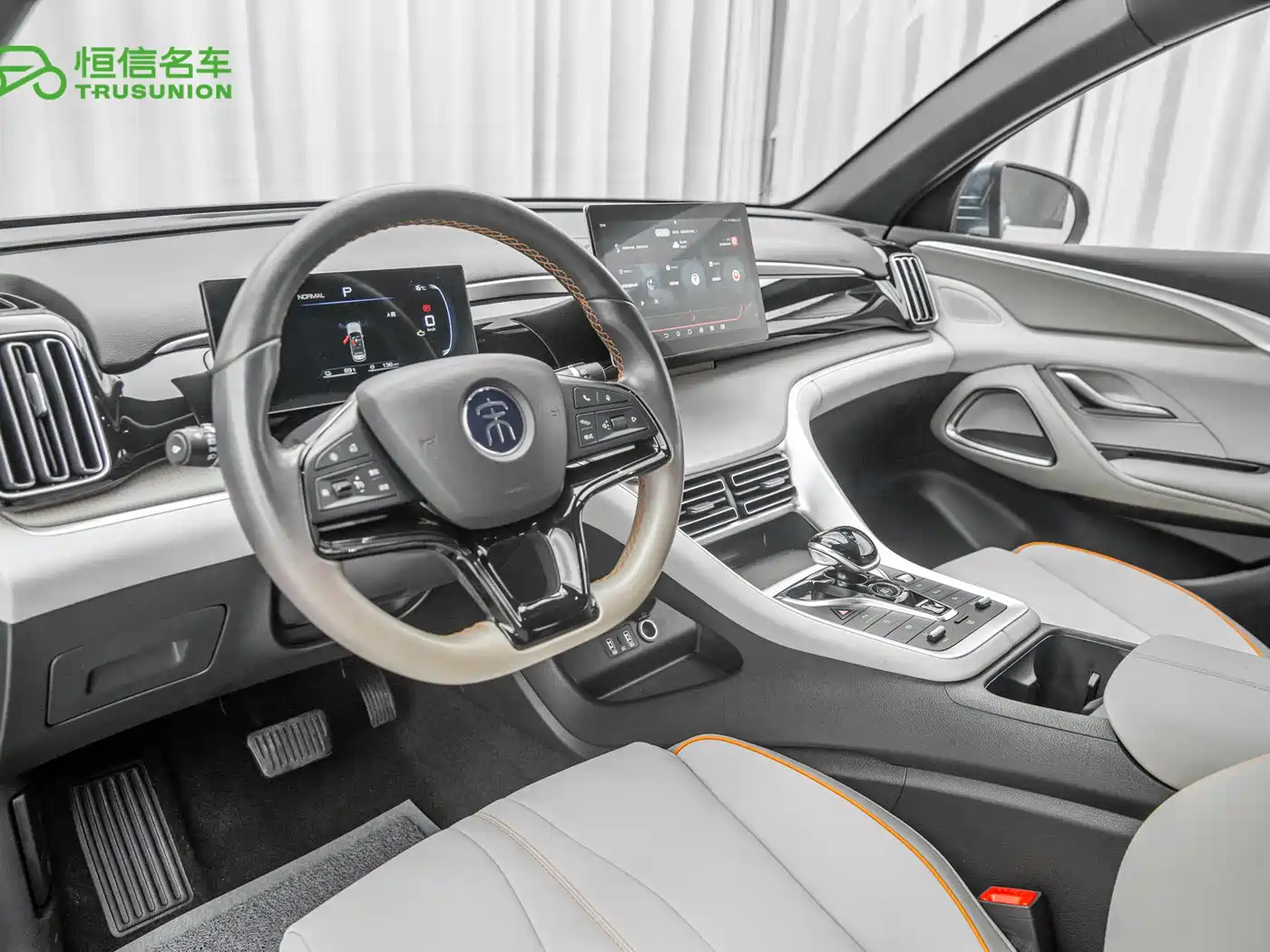 BYD Song Pro New Energy 2024 Glory Edition DM-i 71KM Pilot фото 12