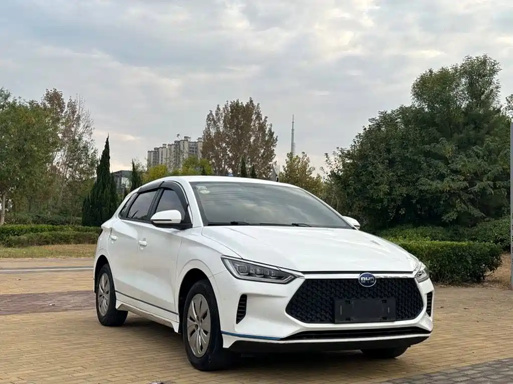 Фото 3 - BYD e2