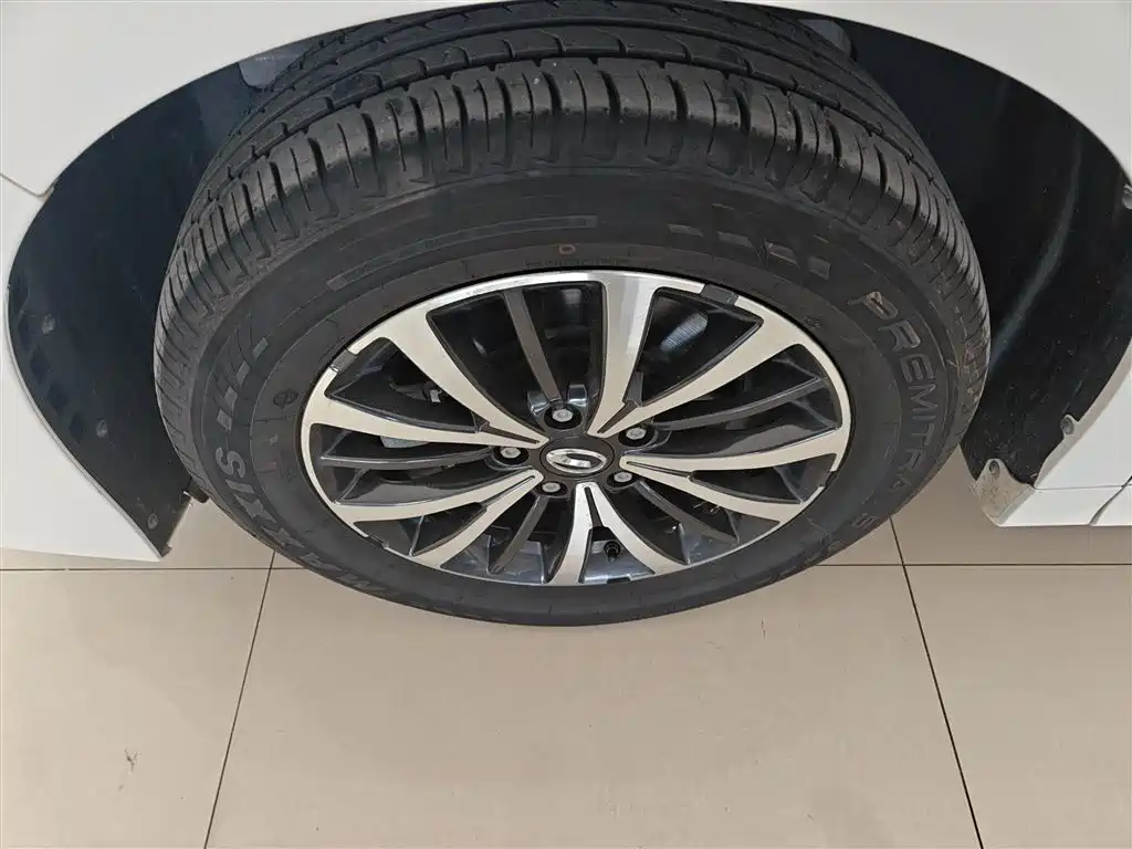GAC Trumpchi Trumpchi M8 2021 Leading Show Series 390T Premium Edition фото 23