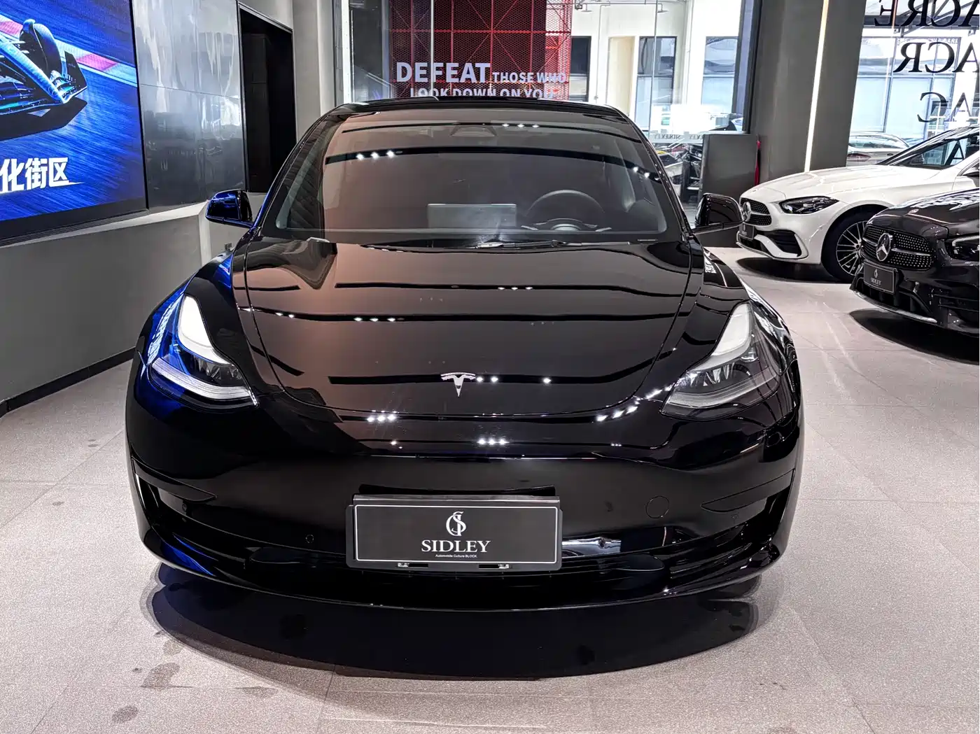TESLA MODEL 3