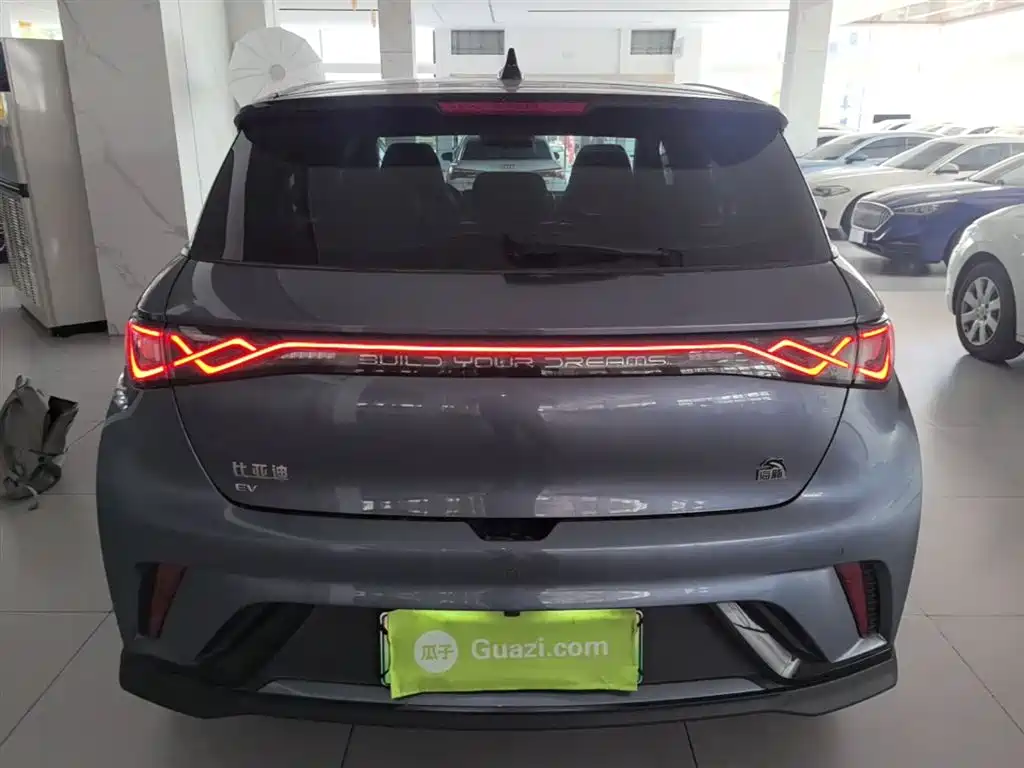 BYD Dolphin 2023 401km Knight Edition фото 4