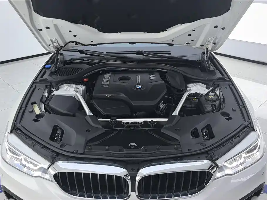 BMW 5 Series 2018 Facelift 530Li Leading M Sport Package фото 10