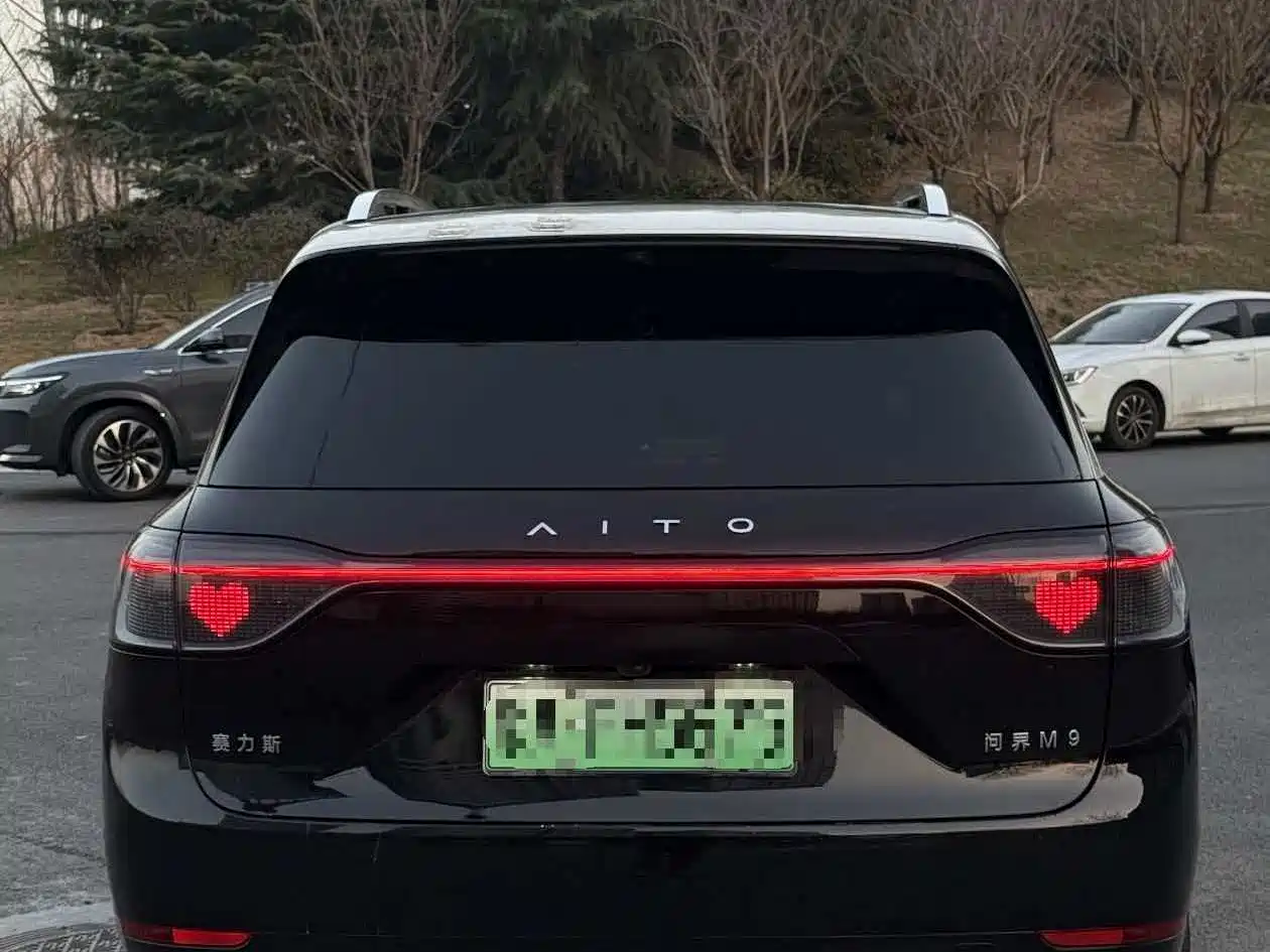 AITO Wenjie AITO M9 2024 Range Extender Ultra 52kWh 6-seater фото 9