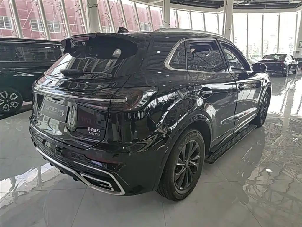 Hongqi HS5 2023 2.0T Flag Enjoy Pro Edition фото 12