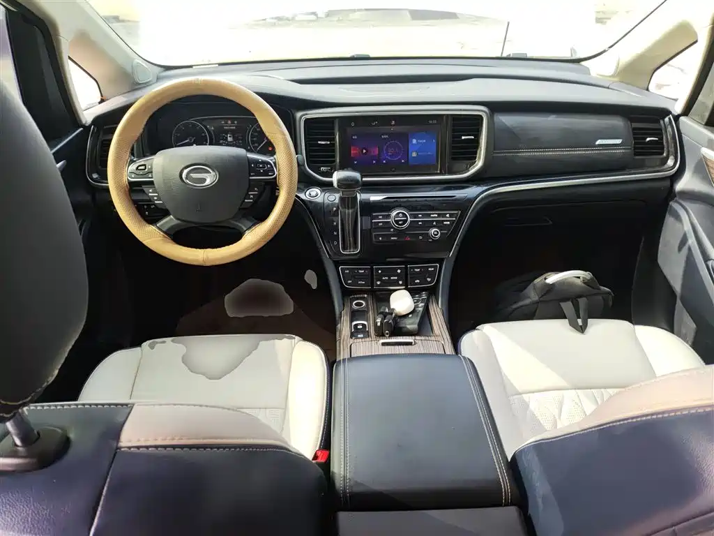 GAC Trumpchi Trumpchi M8 2020 Pilot 390T Premium Edition фото 10