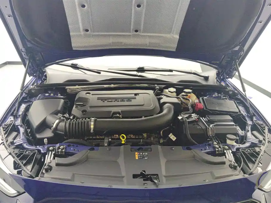 Buick Regal 2021 Facelift GS 28T Elite фото 10