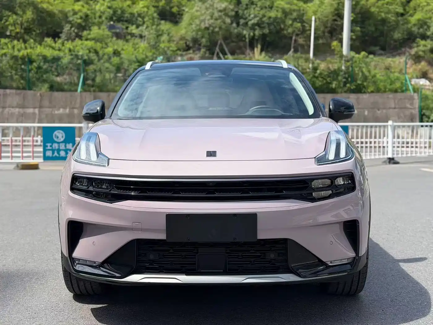 Lynk & Co 06 2021 1.5T Shero Pink Special Edition фото 2