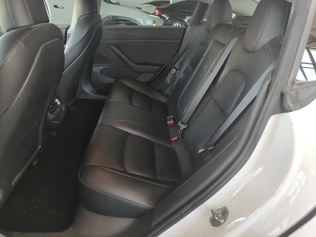 Tesla Model 3 2020 2020 Standard Range Rear-Wheel Drive Upgrade