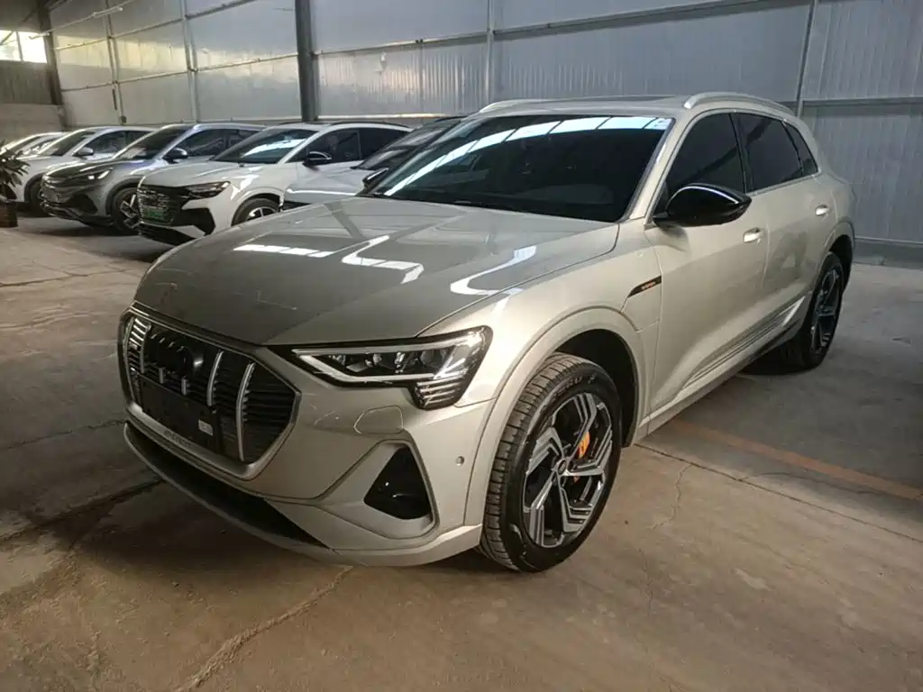 Audi e-tron 2024 2021 50 quattro Exclusive Selection