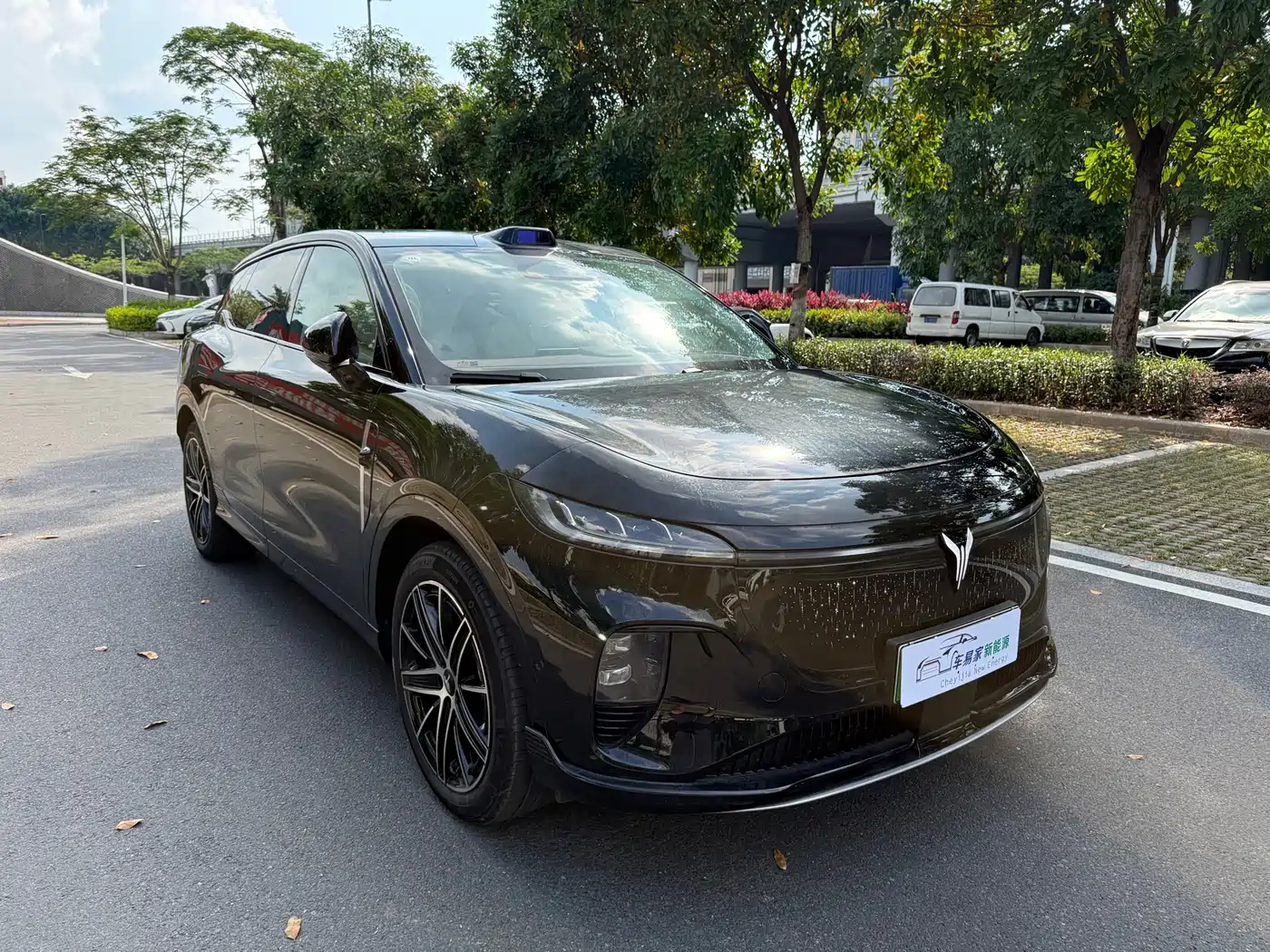 Voyah Auto Voyah Zhiyin 2025 Base фото 6