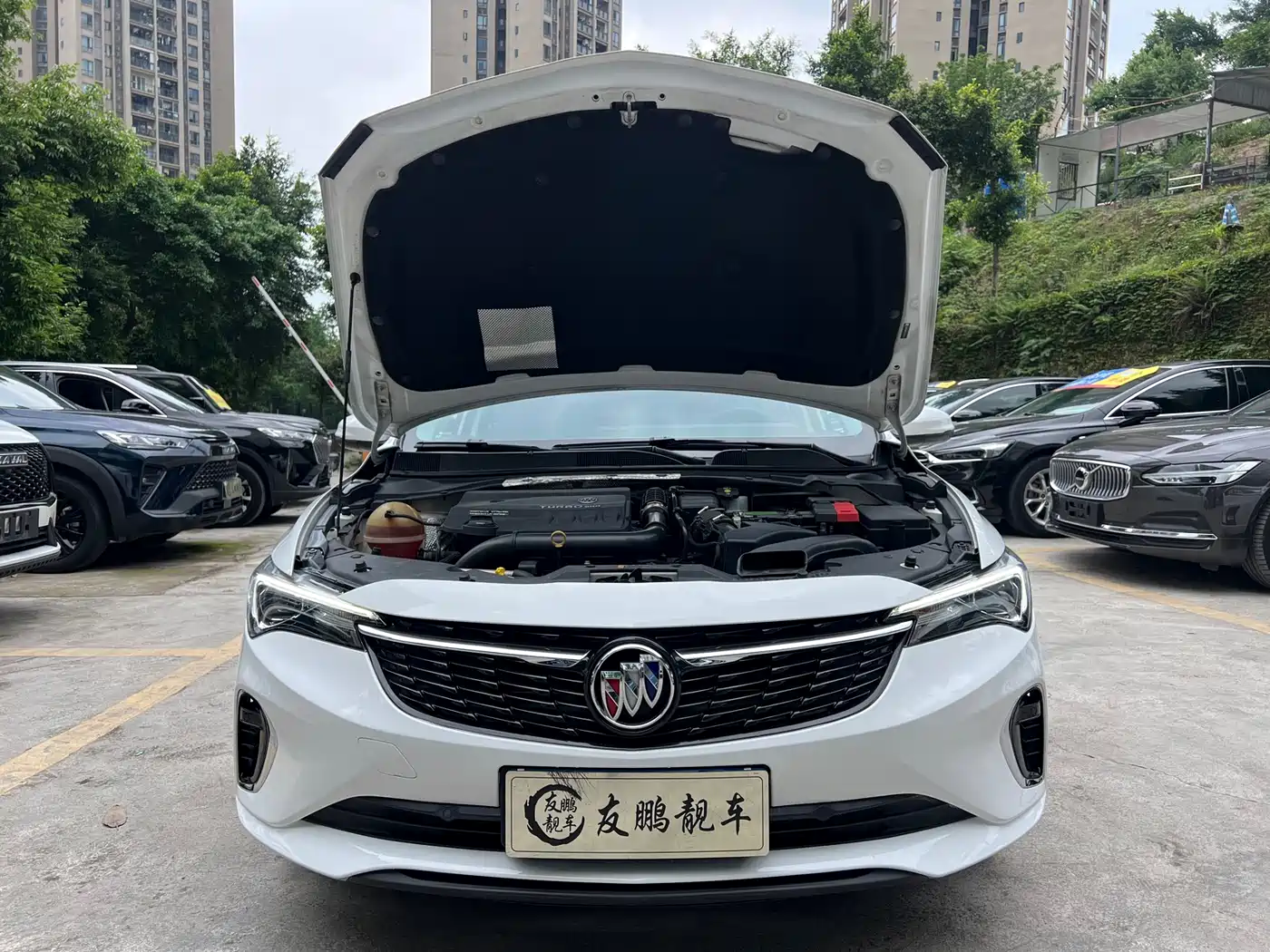 BUICK WEILANG