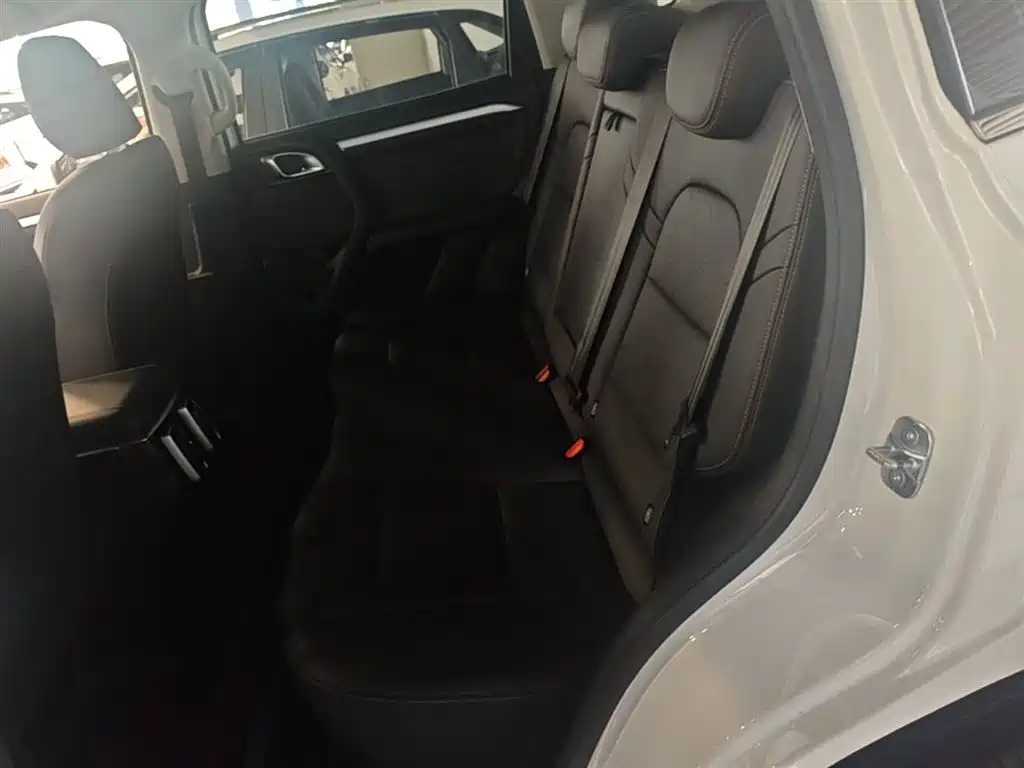 Haval Big Dog 2022 1.5T DCT FWD Border Collie Edition фото 17