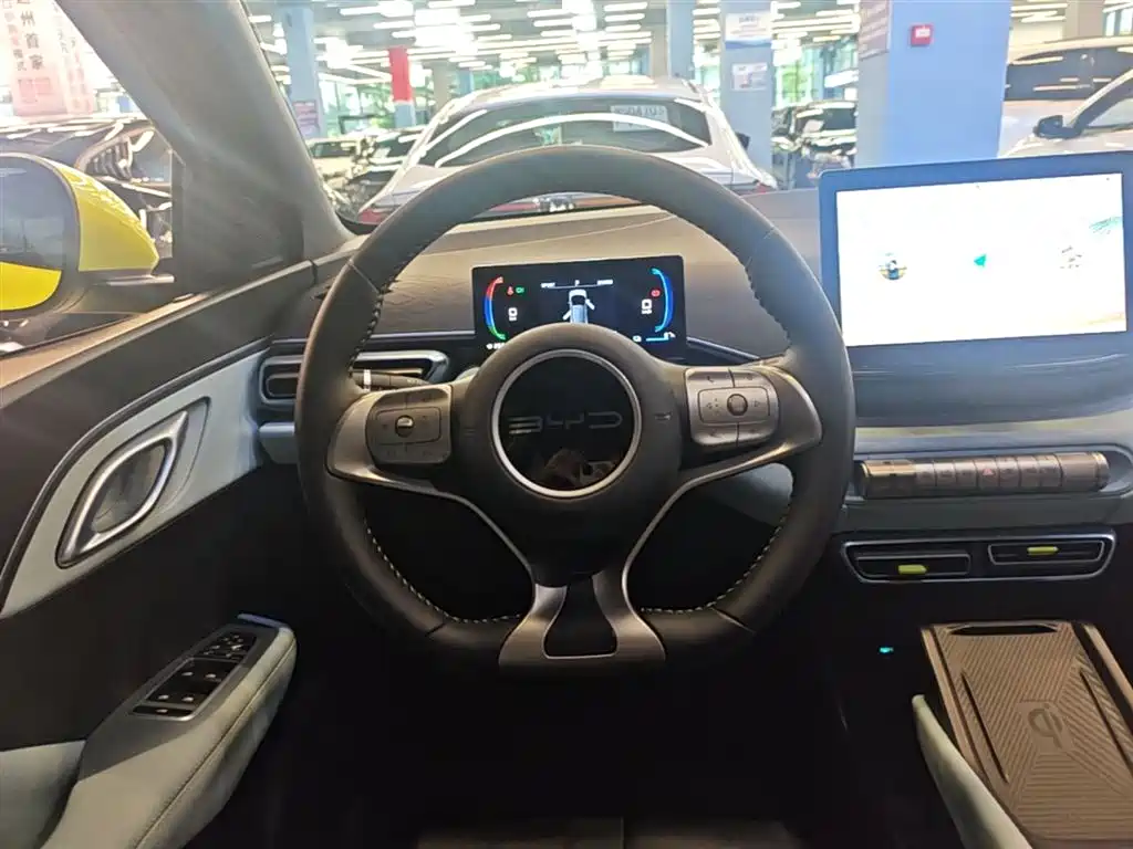 BYD Seagull 2024 Glory Edition 305km Freedom Edition фото 11