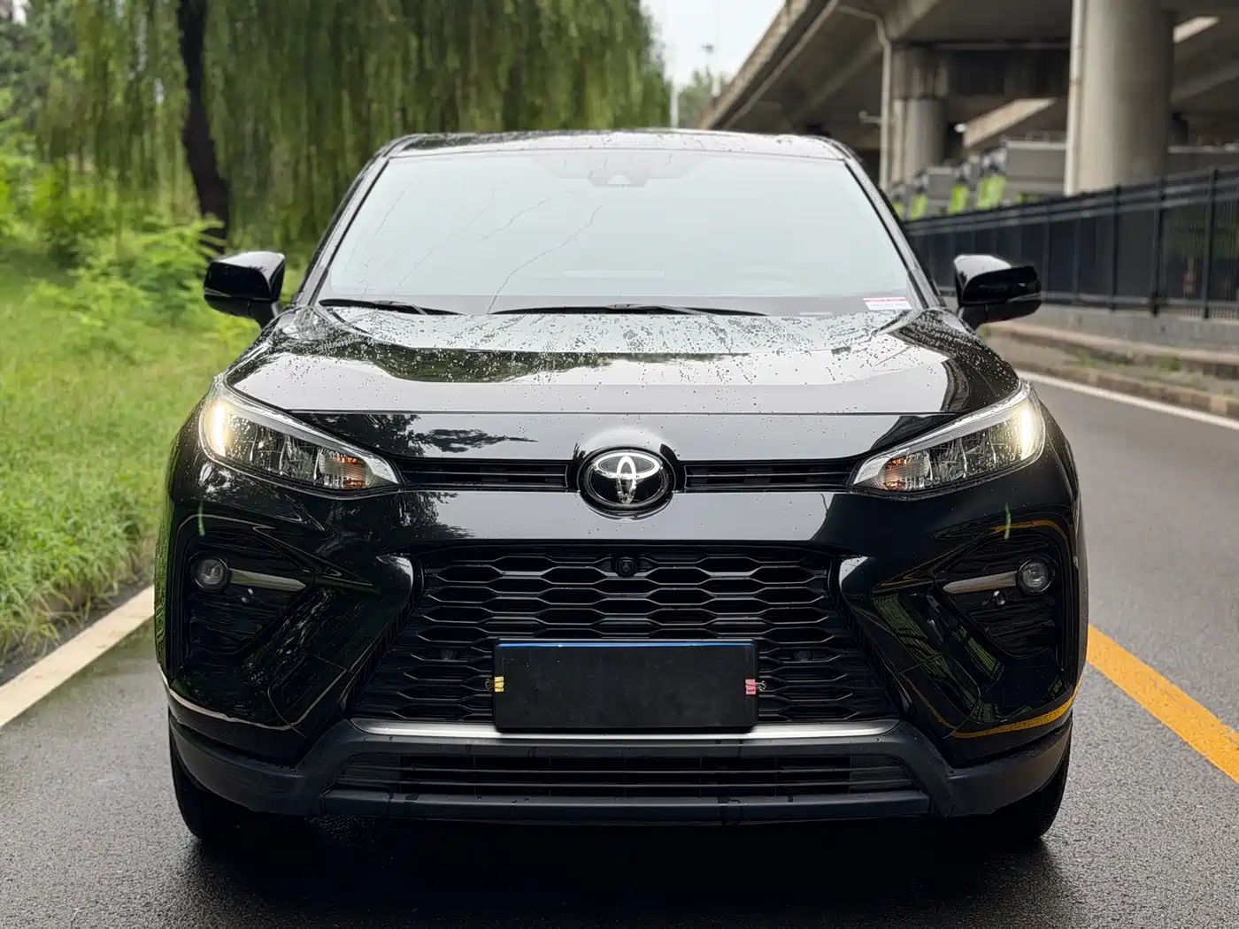 Toyota Wildlander 2023 2022 2.0L CVT FWD Luxury PLUS Edition