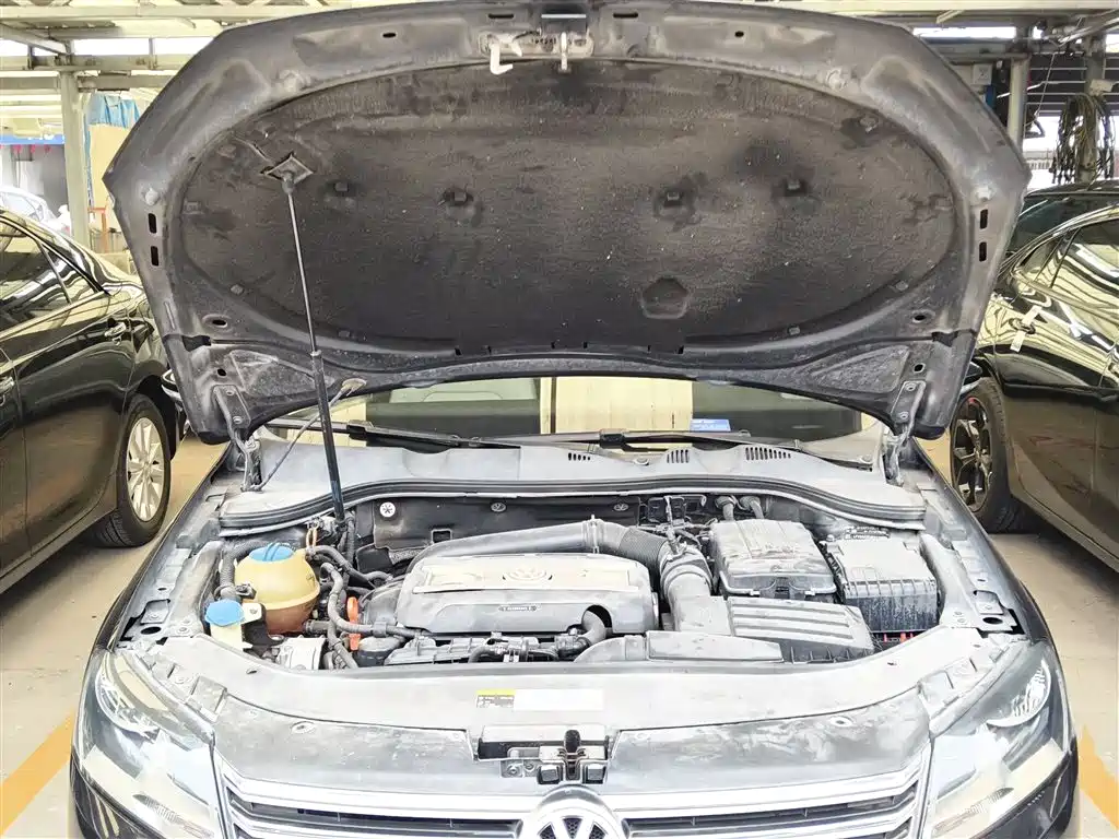 Volkswagen Magotan 2013 1.8TSI Leading фото 16