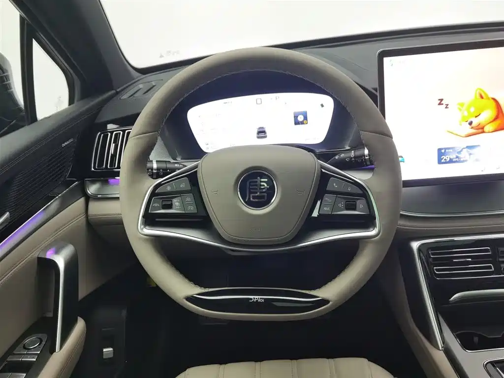 BYD Tang New Energy 2025 DM-i 115KM Prestige Type фото 11