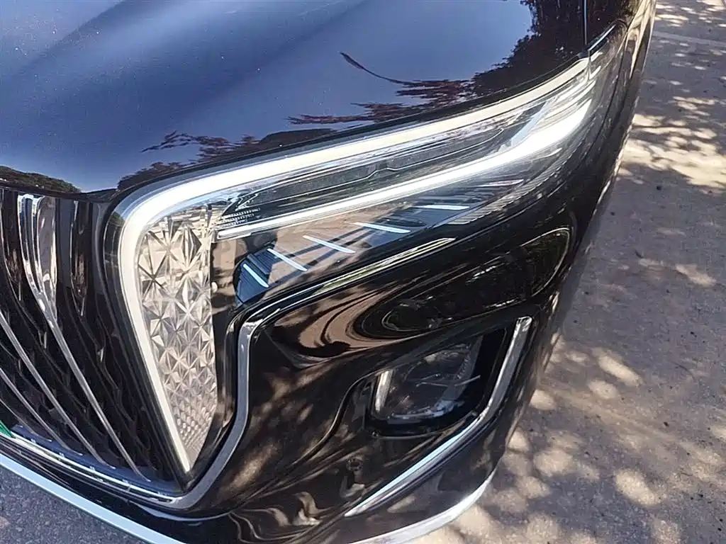 Hongqi HQ9 PHEV 2024 Model 2.0T AWD Luxury Edition фото 18