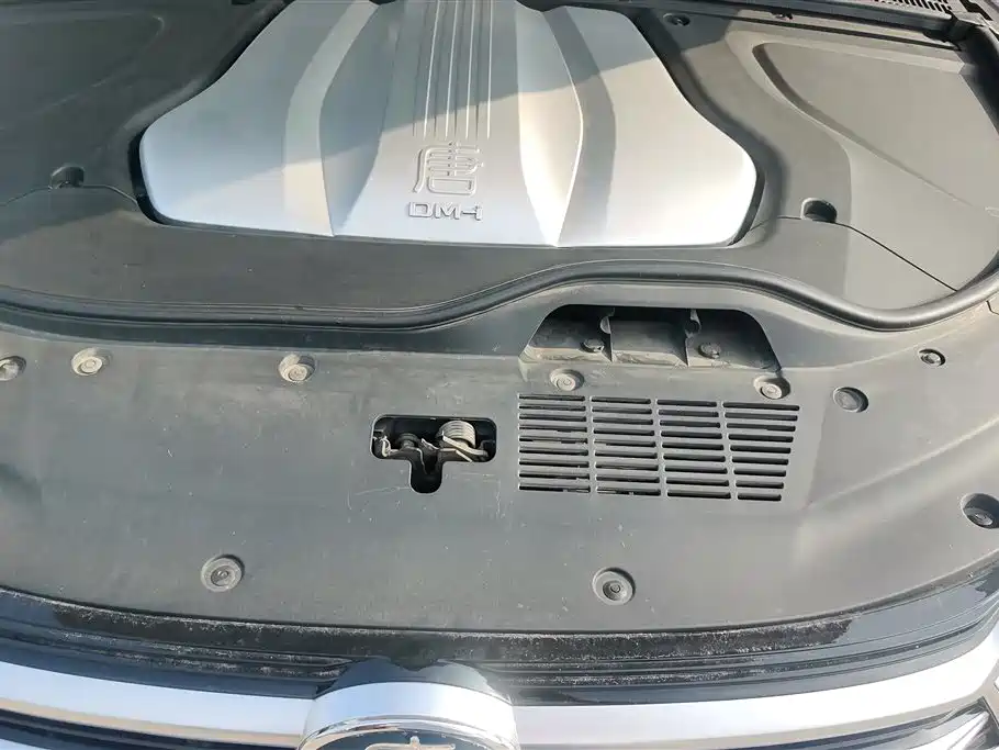 BYD Tang New Energy 2021 DM-i 112KM Honor фото 10