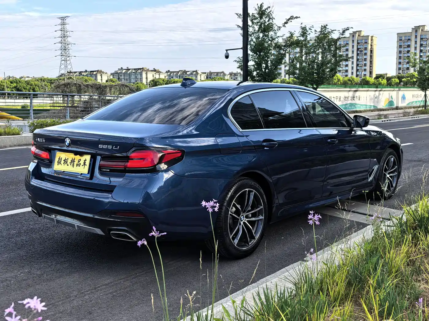 BMW 5 Series 2021 525Li M Sport Package фото 7