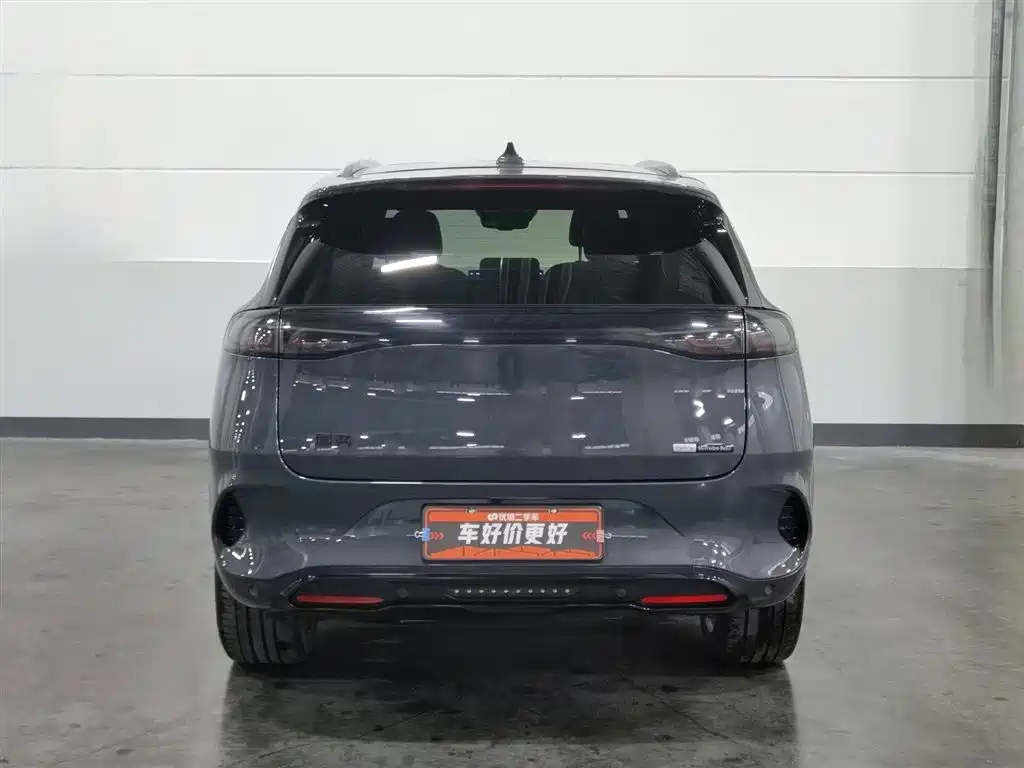 Denza X 2020 PHEV Sport Edition фото 4