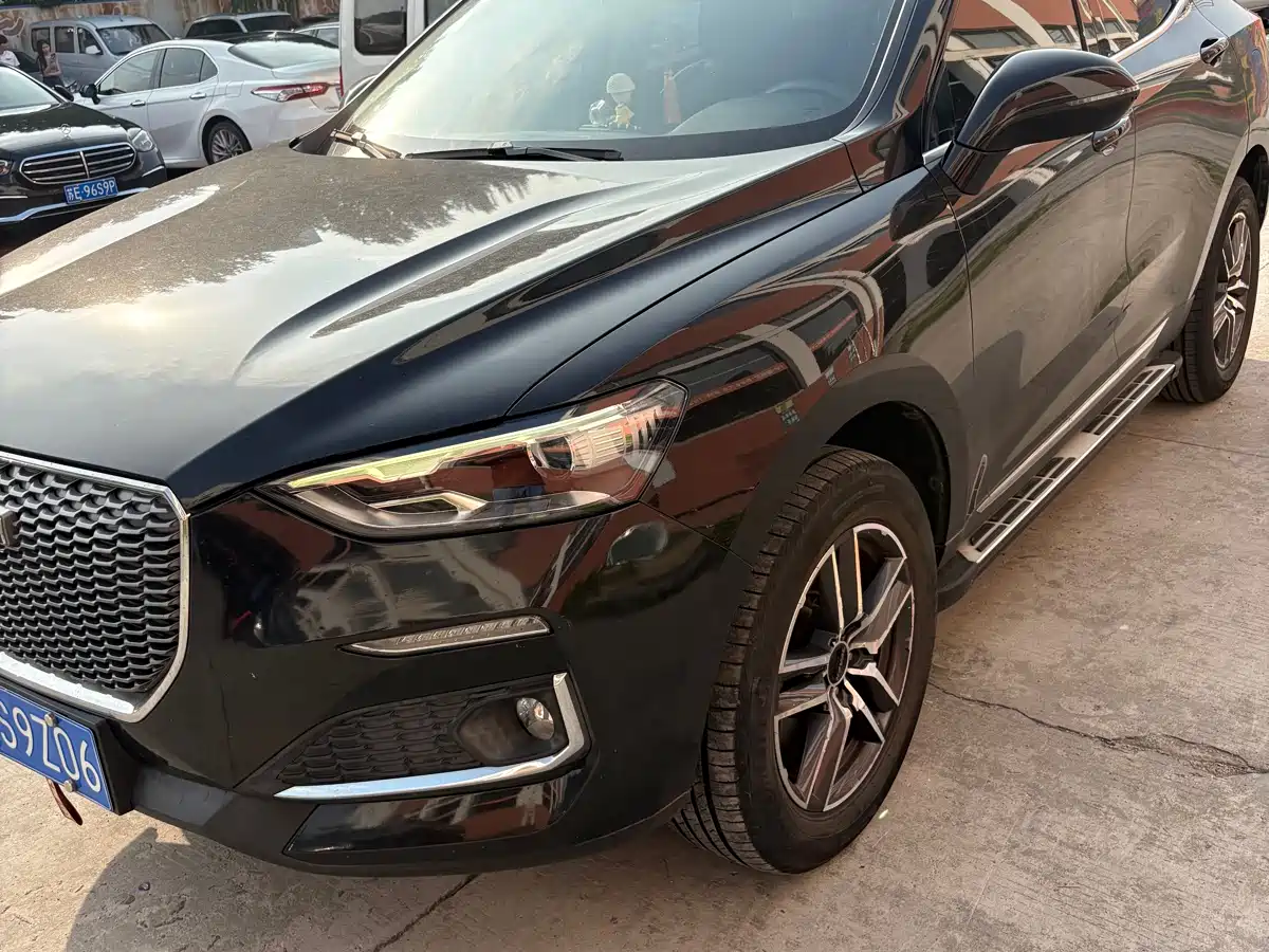 Haval F5 2019 National Trend Edition 1.5T iStyle China VI фото 2