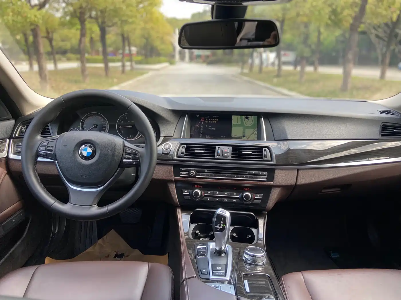 BMW 5 Series 2014 525Li Luxury Design Package фото 8
