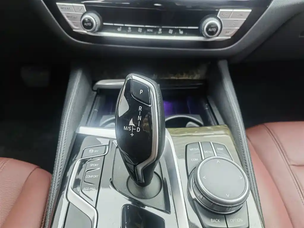BMW 5 Series 2020 530Li Leading M Sport Package фото 13