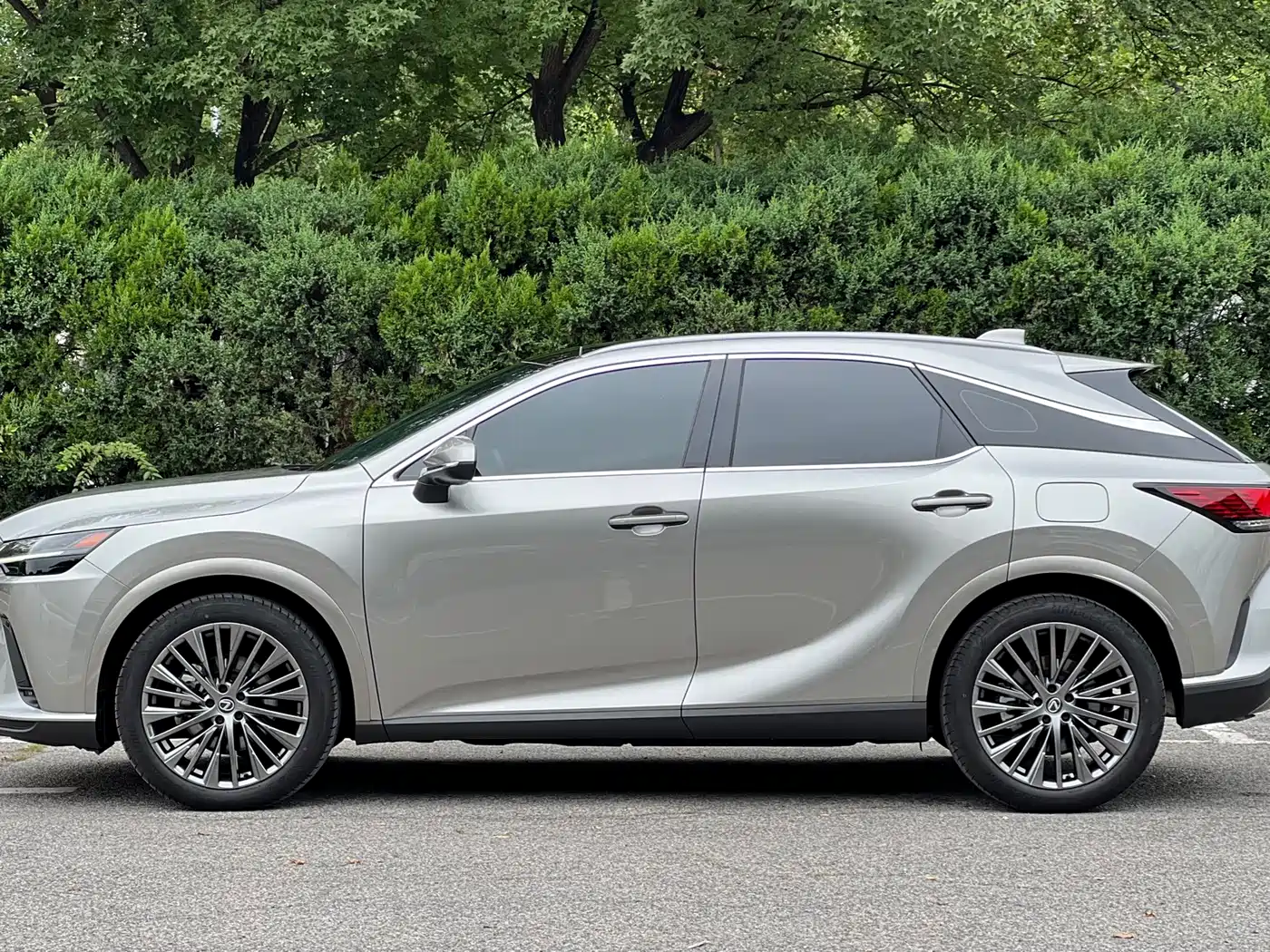2025 Lexus RX